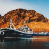 The Unapologetic Firewater of Iceland – Brennivín