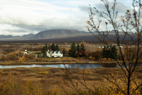 Golden Circle Small Group Tour with Friðheimar Farm Visit - Image 15