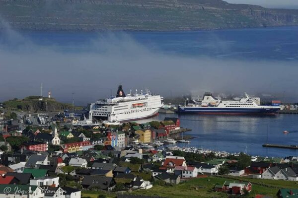 Skúvoy Puffin Tour | Sandoy & Kirkjubøur - Image 5