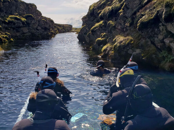 Snorkeling between Continents in Silfra - Free Underwater Photos - Image 4