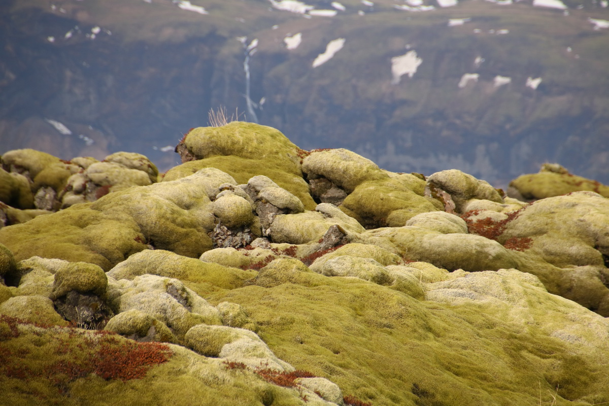 9 Day Self-Drive: Iceland Classic Ring Road