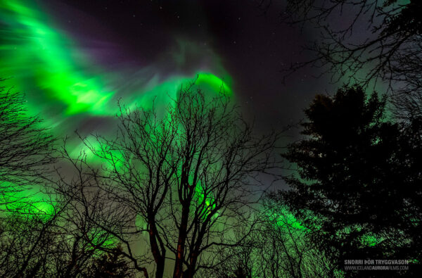 BEST OF ICELAND - WINTER VALUE (Golden Circle, South Coast & Northern Lights) - Image 6