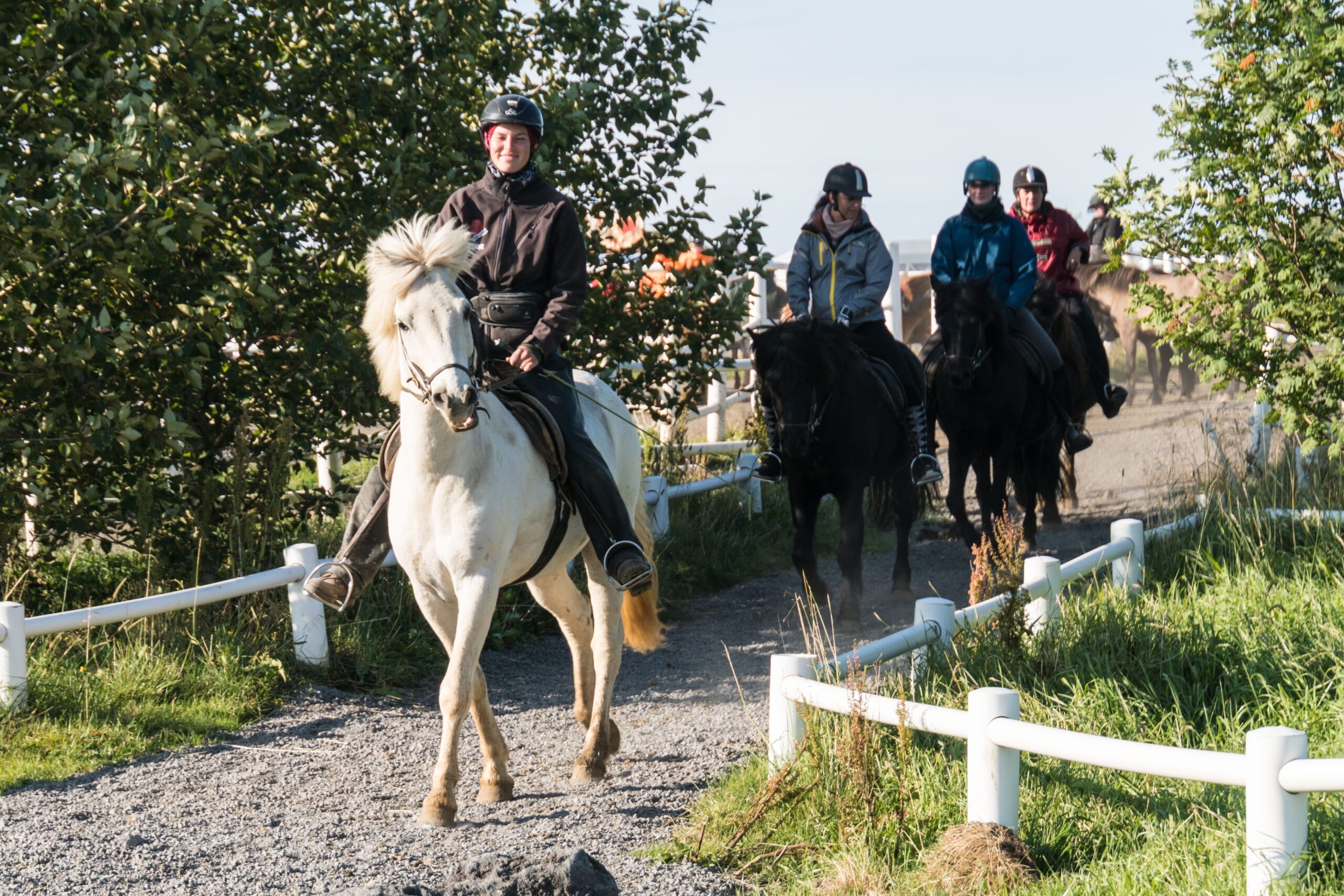Horse Riding Specialty of the Season