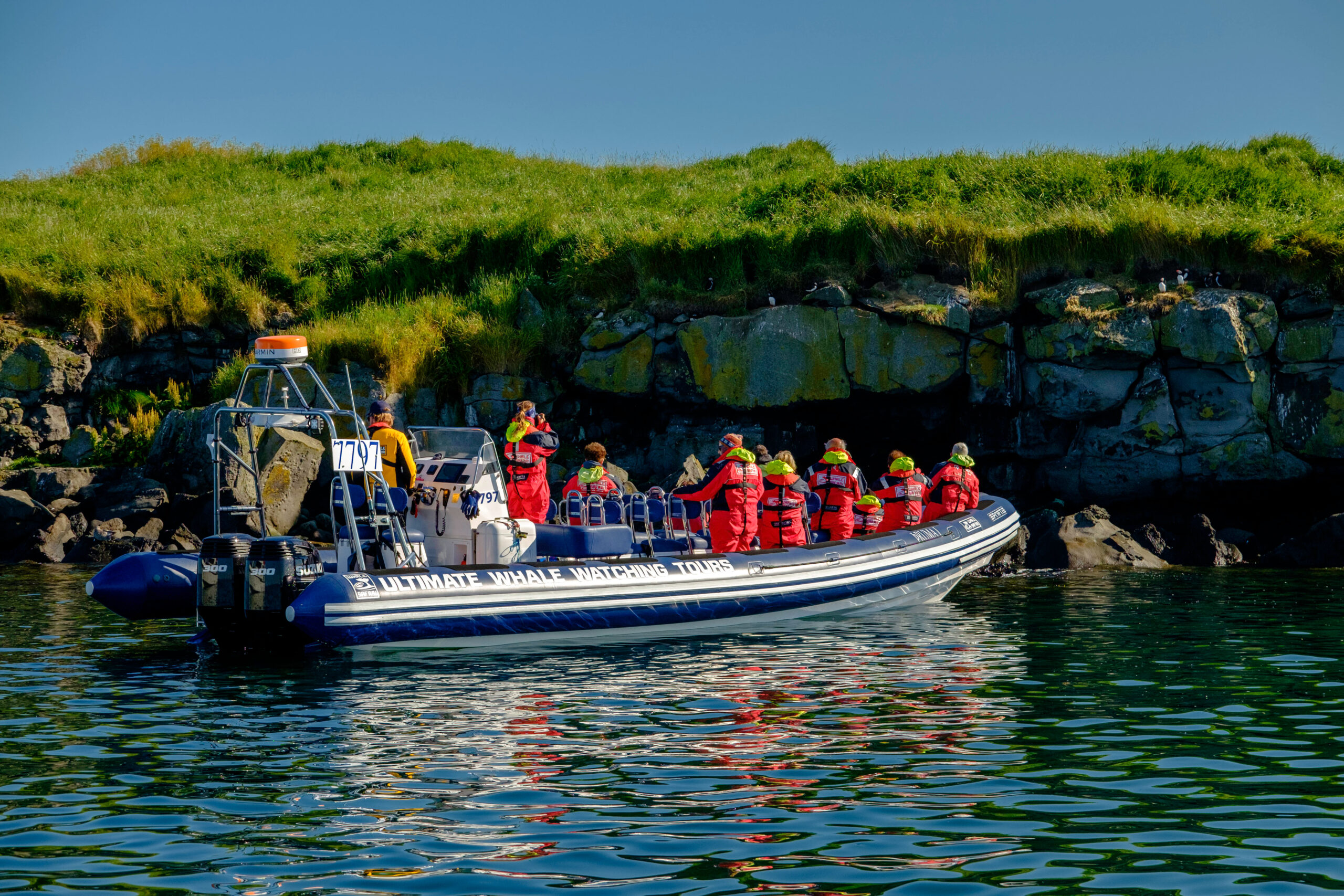 Reykjavík Premium Puffin Tour
