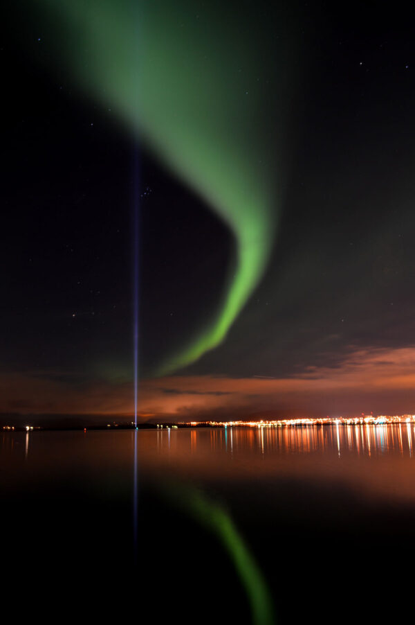 Whales & Auroras - Image 4