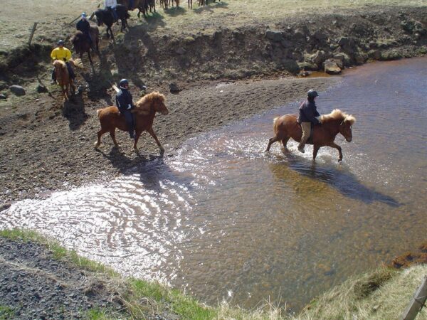 Horse Riding Riding and Hiking - Image 4
