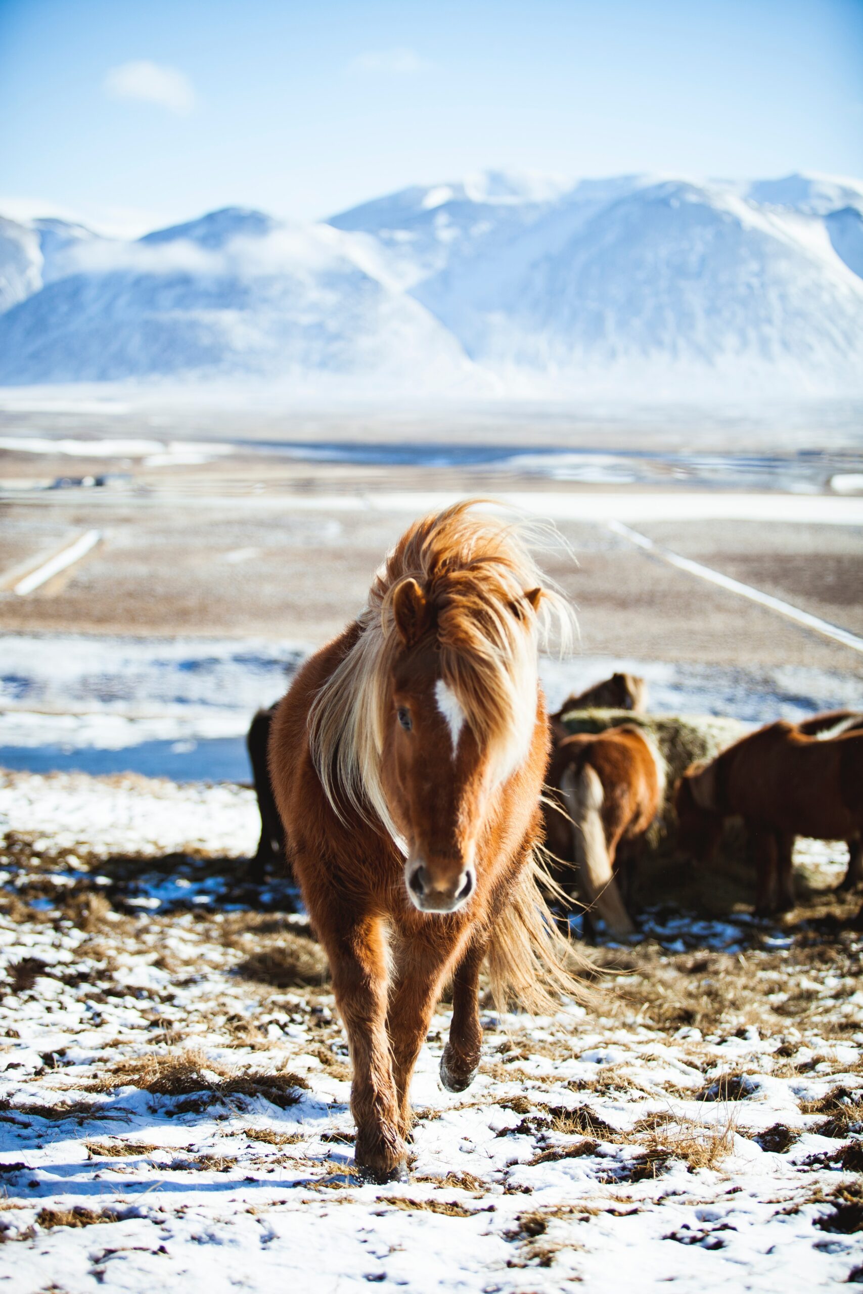 7 Day - Iceland Ring Road & Snæfellsnes