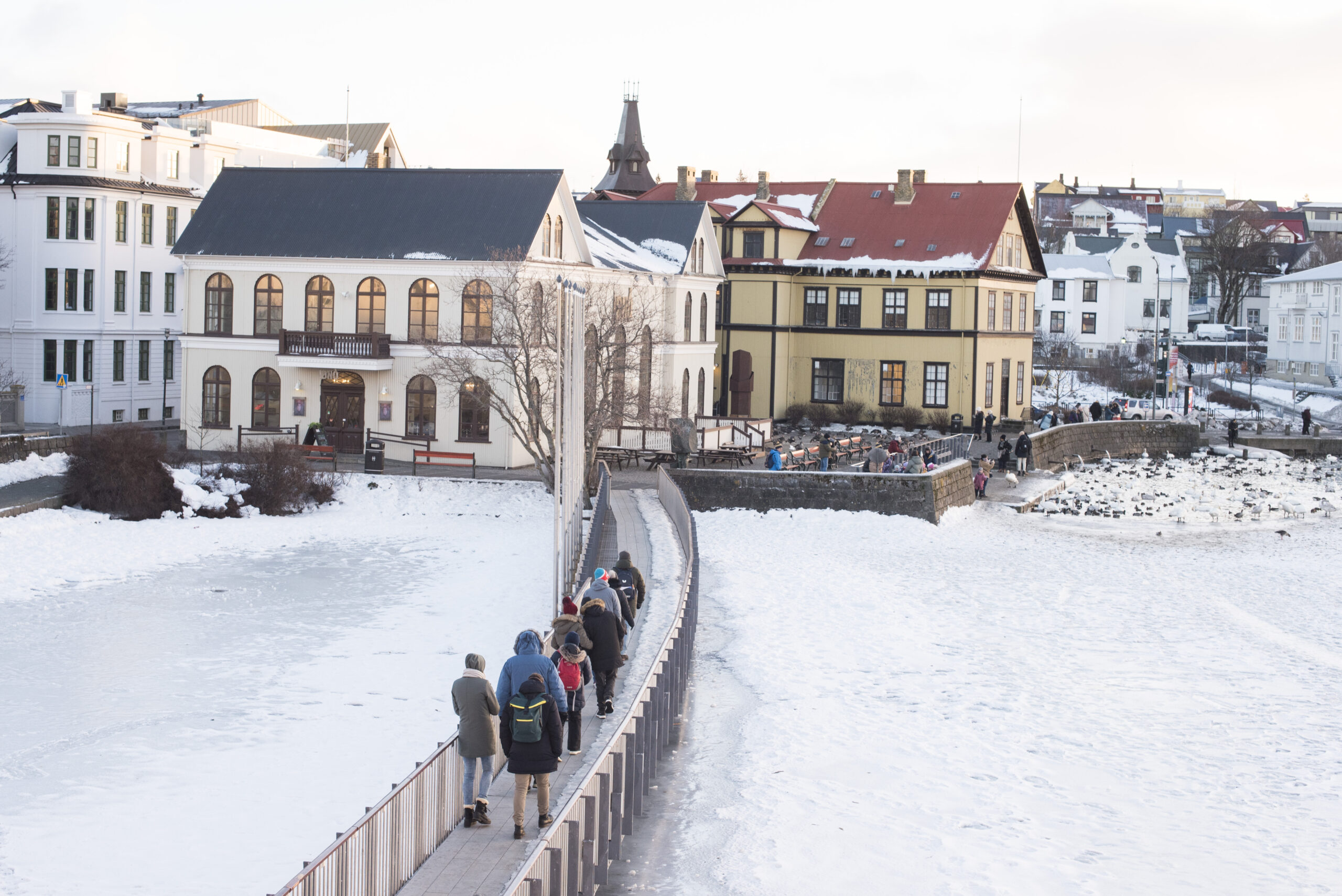 Reykjavik Walking Tour small group CityWalk