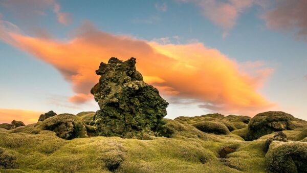 Moss-covered volcanic rocks under a vibrant orange sunset sky, creating a serene natural landscape scene.