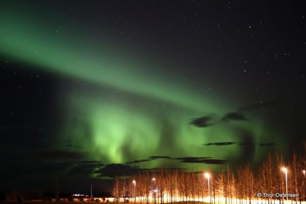 8 Days Northern Lights Exploration - Image 8