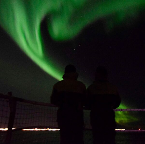 Whales & Auroras - Image 8
