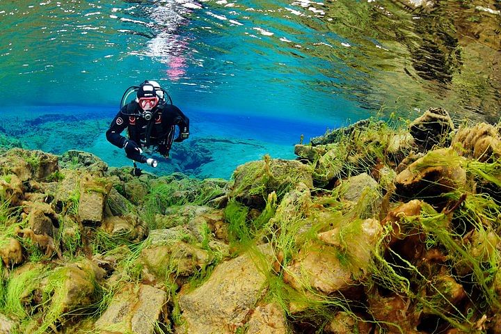 Scuba diver exploring underwater rocks and vibrant algae in clear blue waters.