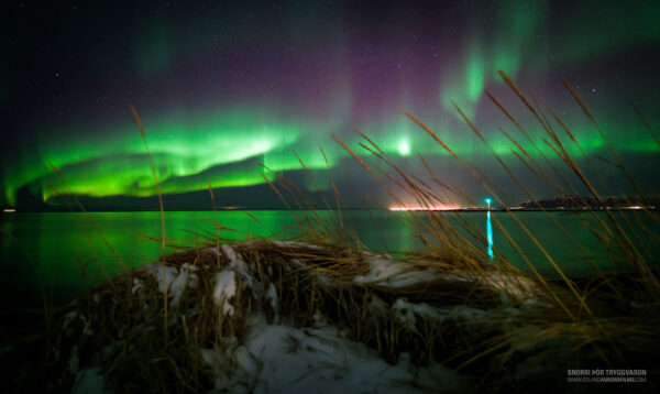 BEST OF ICELAND - WINTER VALUE (Golden Circle, South Coast & Northern Lights) - Image 2