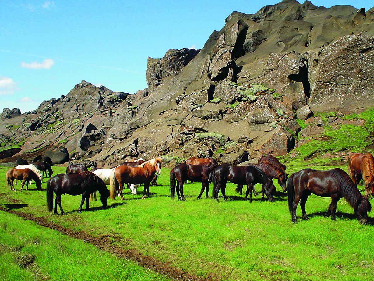 Horse Riding he Valley of Horses - Marardalur
