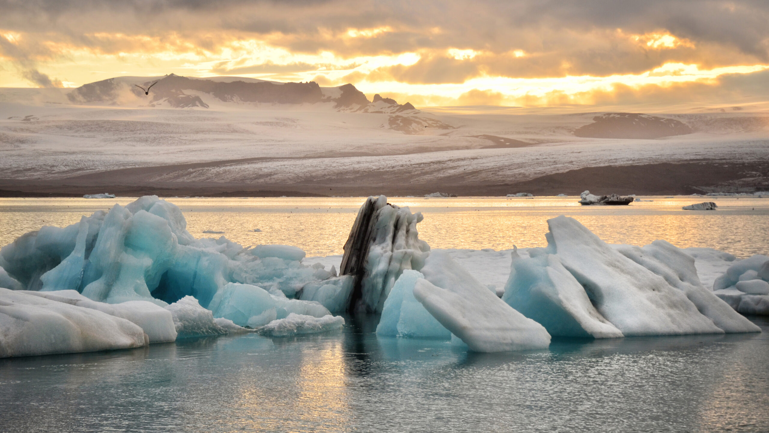 Glacier Lagoon tour