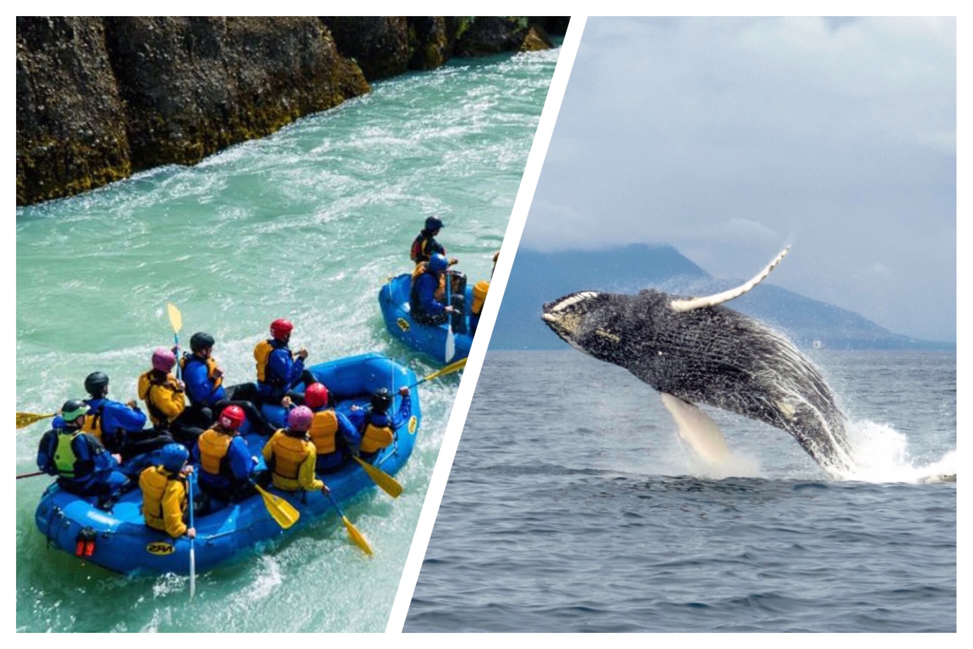 Whales & White Water Rafting