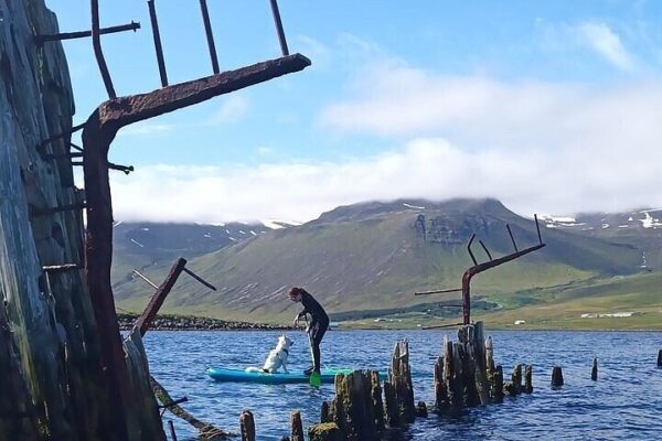 Guided SUP tour in Siglufjörður / Siglufjordur. - Image 6