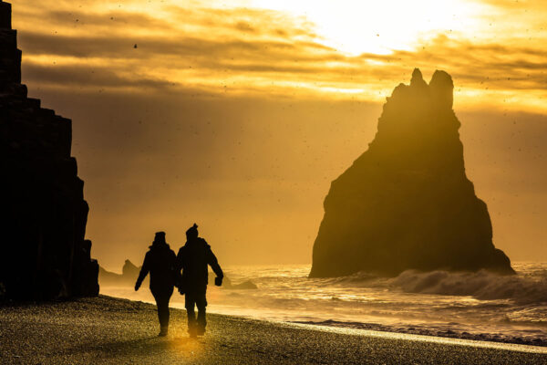BEST OF ICELAND -  SUMMER SPECIAL (Golden Circle, Whale Watching & South Coast) - Image 12