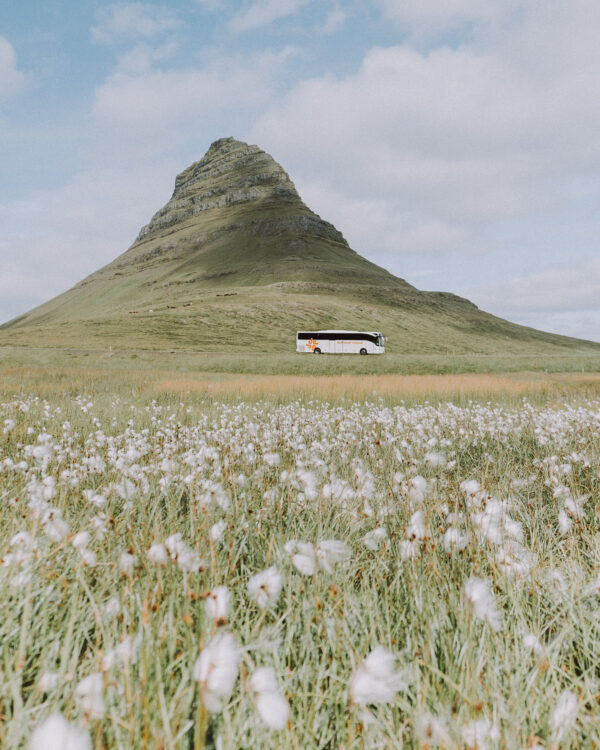 Snæfellsnes Peninsula Tour from Grundarfjordur Port - Image 10