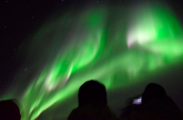 Whales & Auroras - Image 9