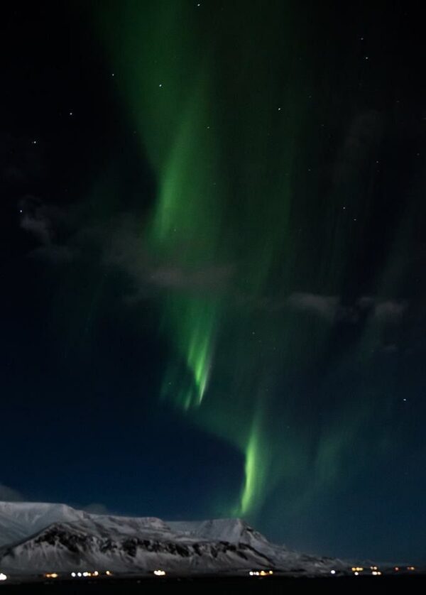 Whales & Auroras - Image 3