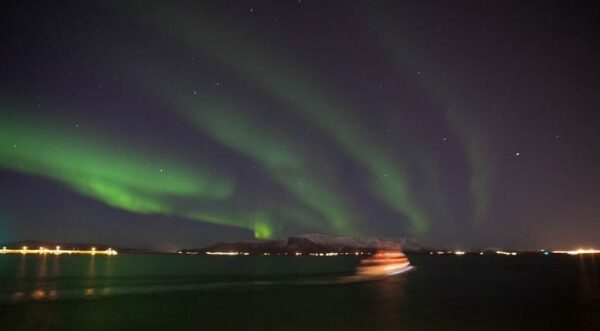 Whales & Auroras - Image 6