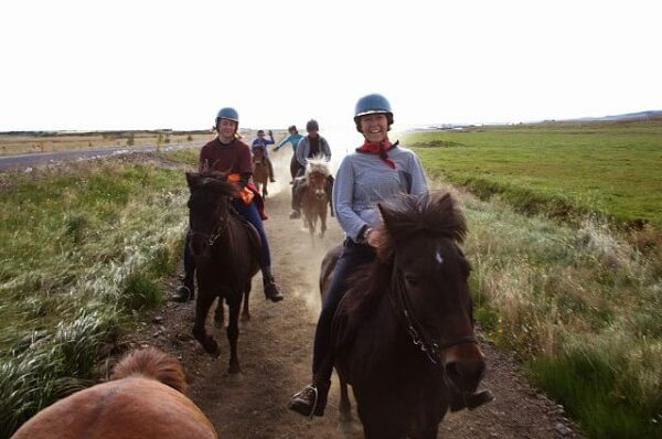 Horse Riding The Sea Horse - Image 6