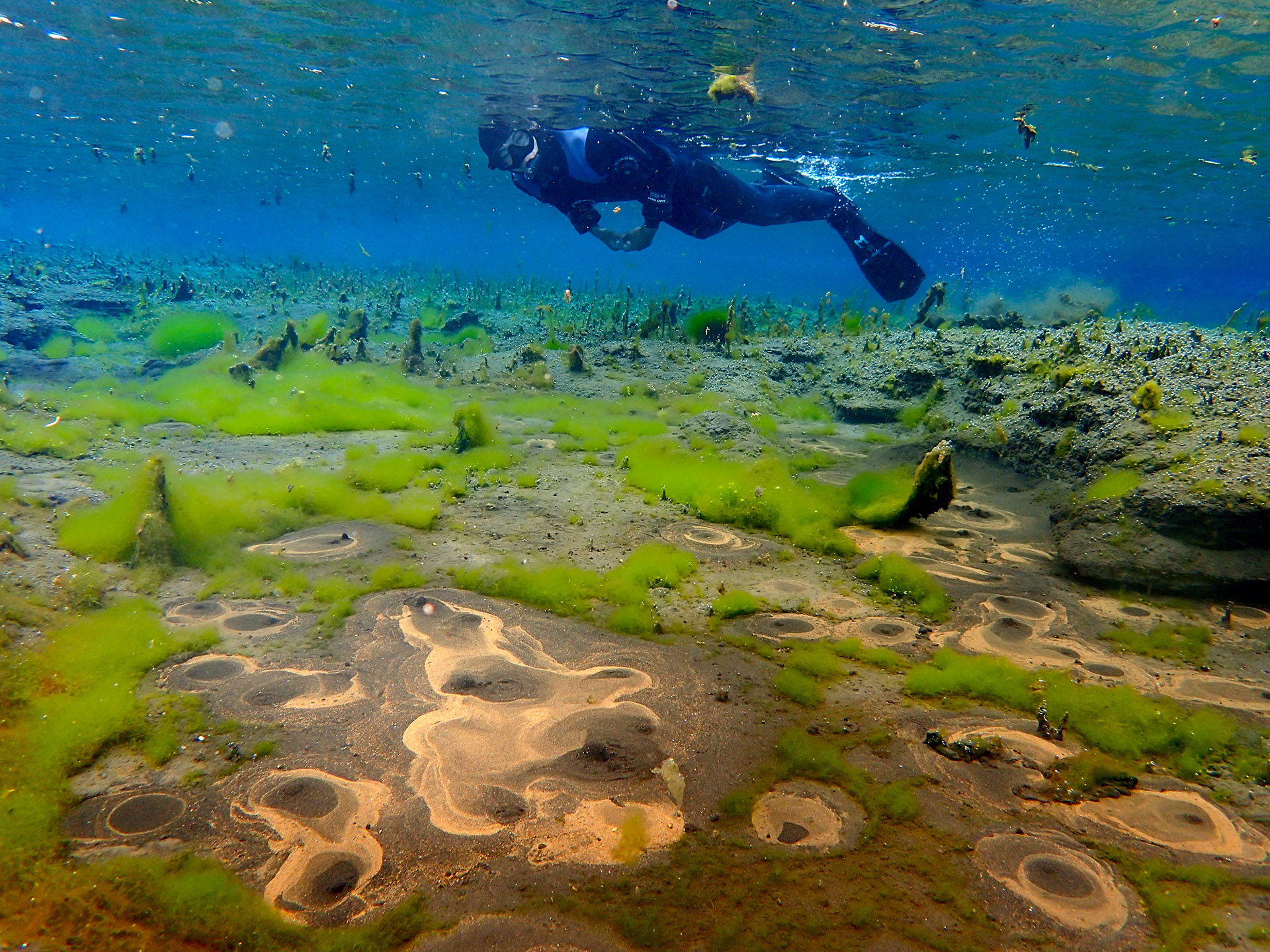 Bubbling Sands Snorkeling Tour