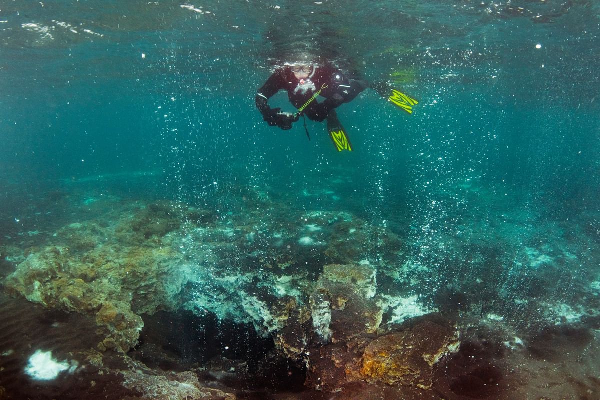 Scuba diver exploring vibrant coral reef underwater.