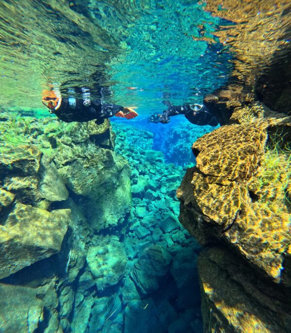 Snorkeling between Continents in Silfra - Free Underwater Photos - Image 7