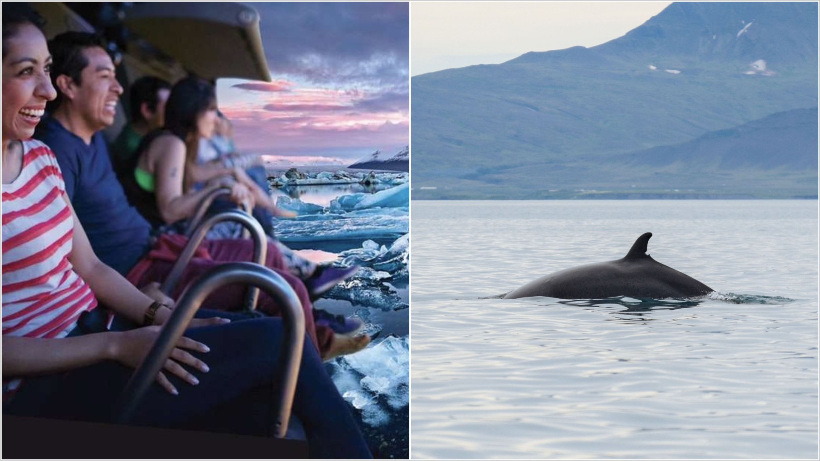 Whales & FlyOver Iceland