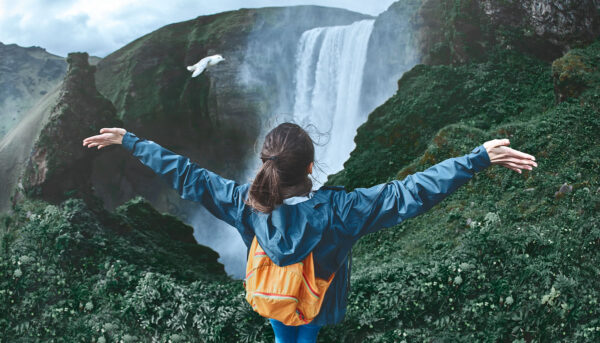 BEST OF ICELAND -  SUMMER SPECIAL (Golden Circle, Whale Watching & South Coast) - Image 2