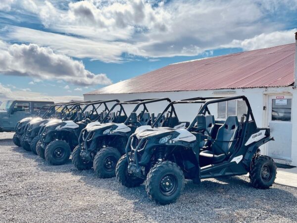 Buggy Adventure Mývatn - ATV tour - Image 11