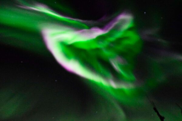 Whales & Auroras - Image 10