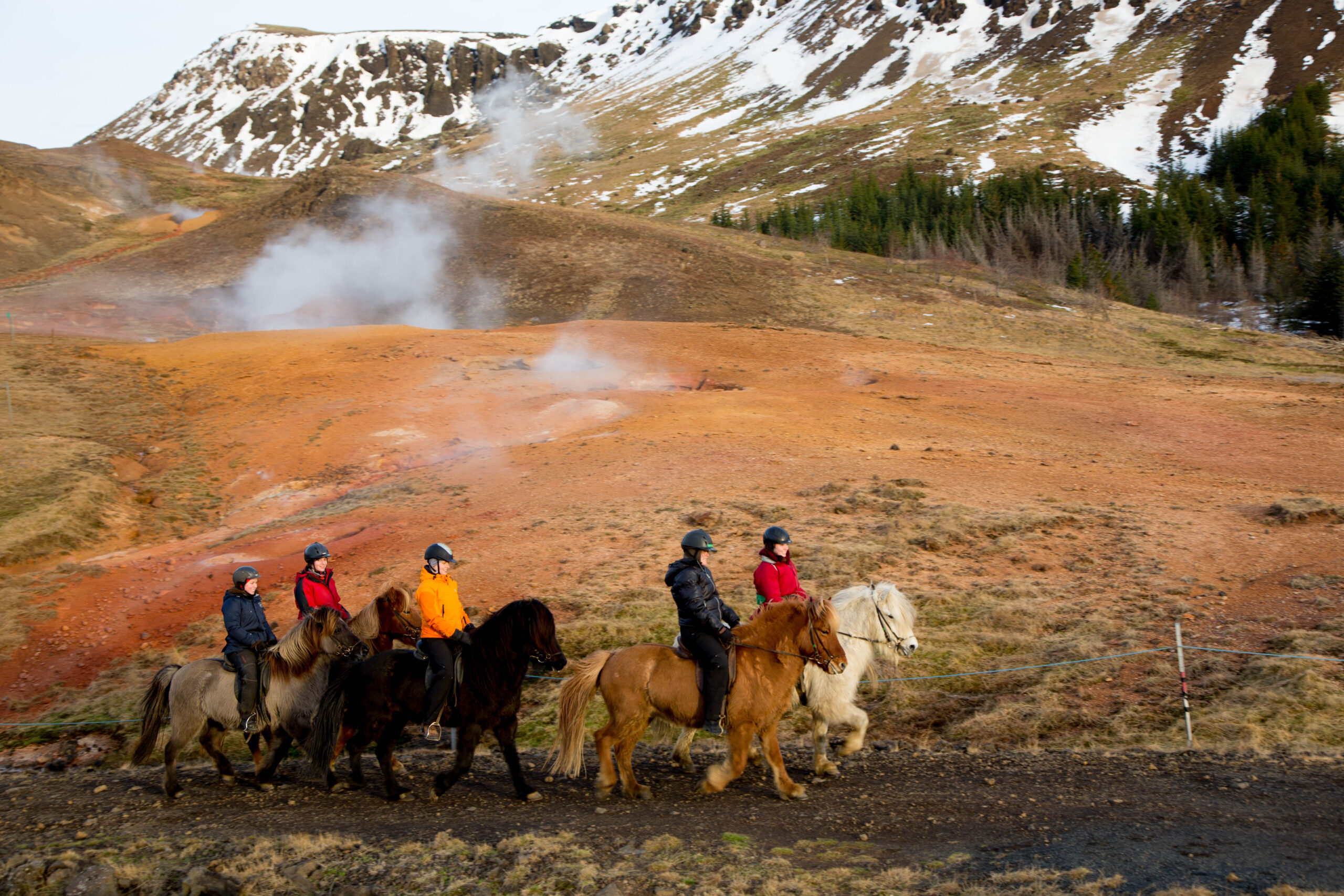 Horse Riding Horses and Hot Springs