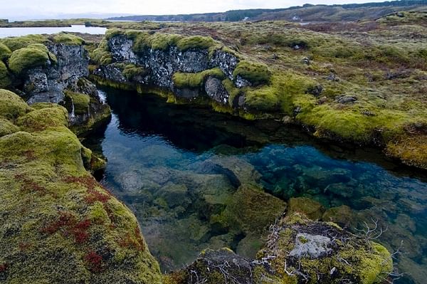 Crystal clear underwater spring surrounded by lush mossy rocks in a serene landscape.