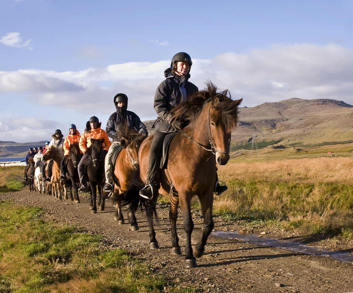 Group horseback riding tour through scenic countryside landscape.