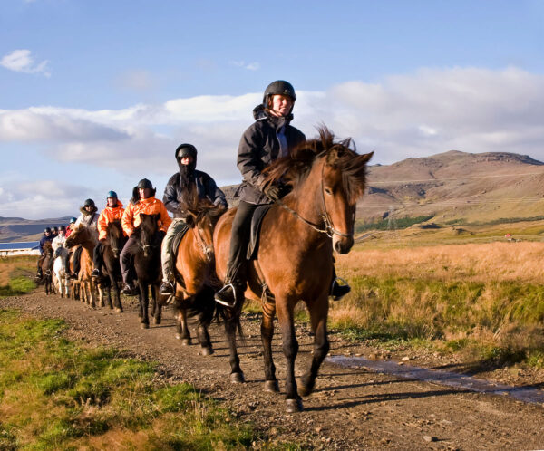 Horse Riding The Sea Horse - Image 2