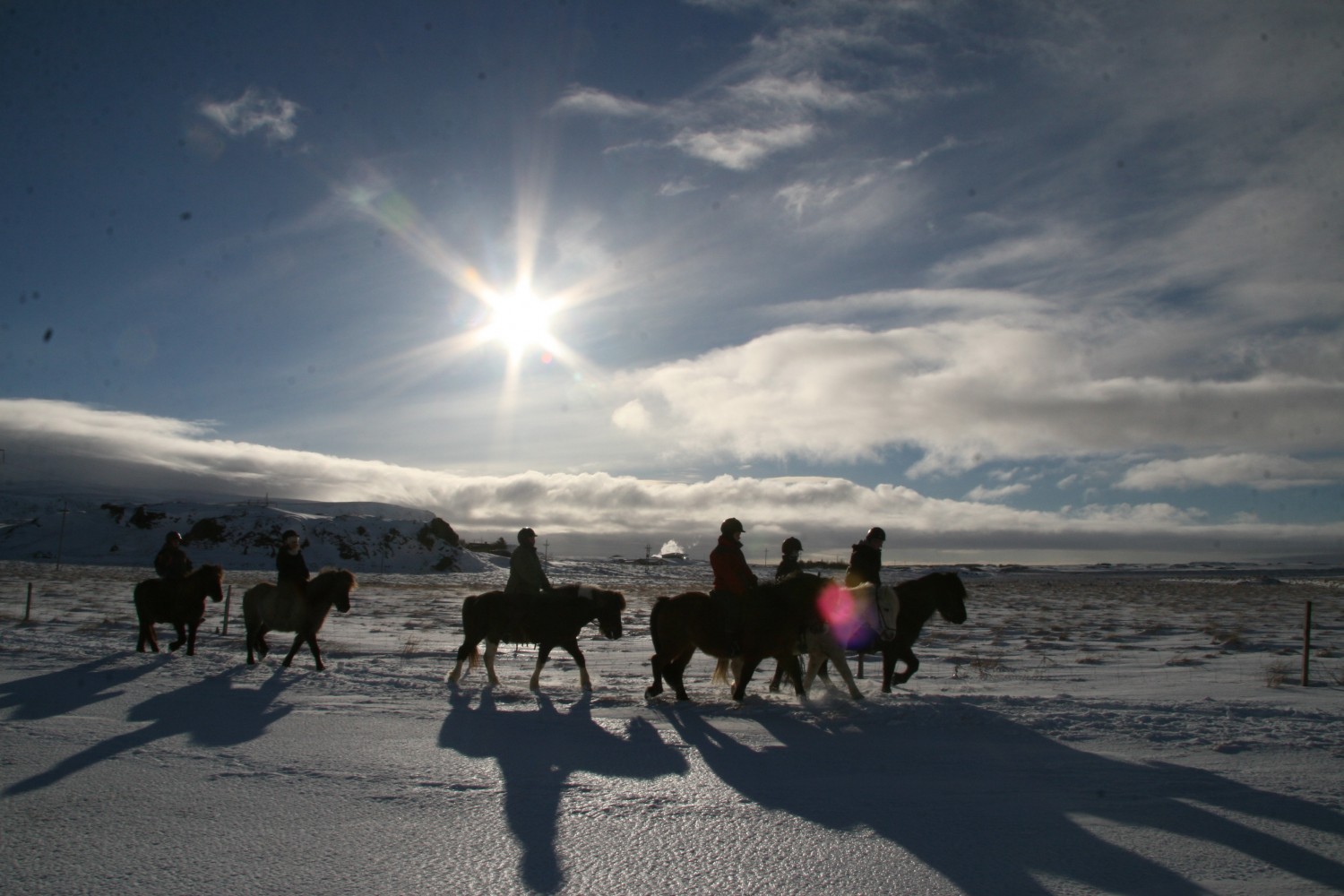 Horse Riding Riding and Gullfoss, Geysir & Þingvellir