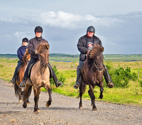 Horse Riding The Sea Horse - Image 5