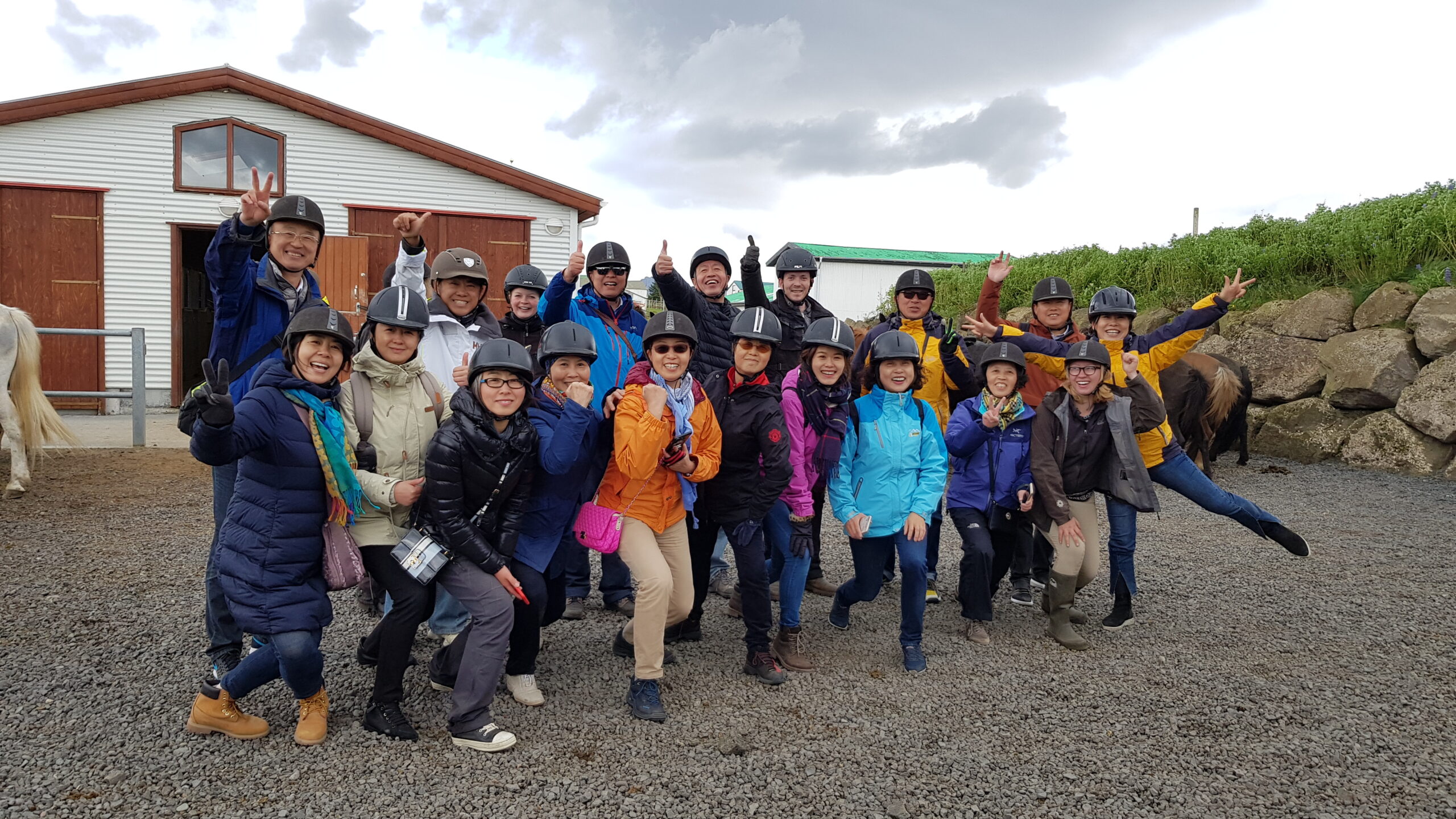 Horse Riding 1 Hour - Winter Red lava Tour (With or Without Pickup)