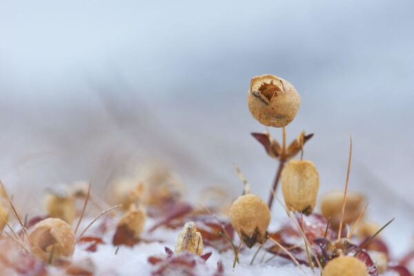 6 Day - Iceland Ring Road & Blue Lagoon - Image 11