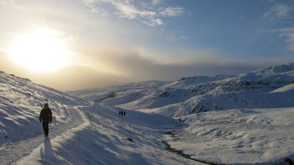 Horse Riding Riding and Hiking - Image 3