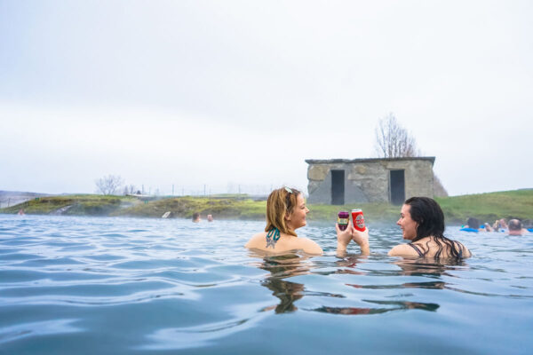 Golden Circle and Secret Lagoon Full Day Tour from Reykjavik by Minibus - Image 3