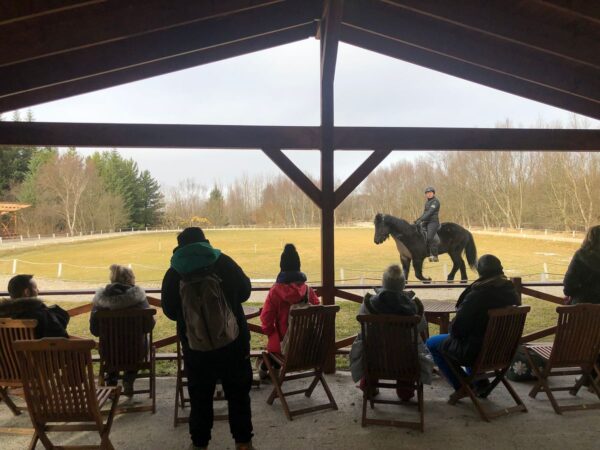 Golden Circle Small Group Tour with Friðheimar Farm Visit - Image 11