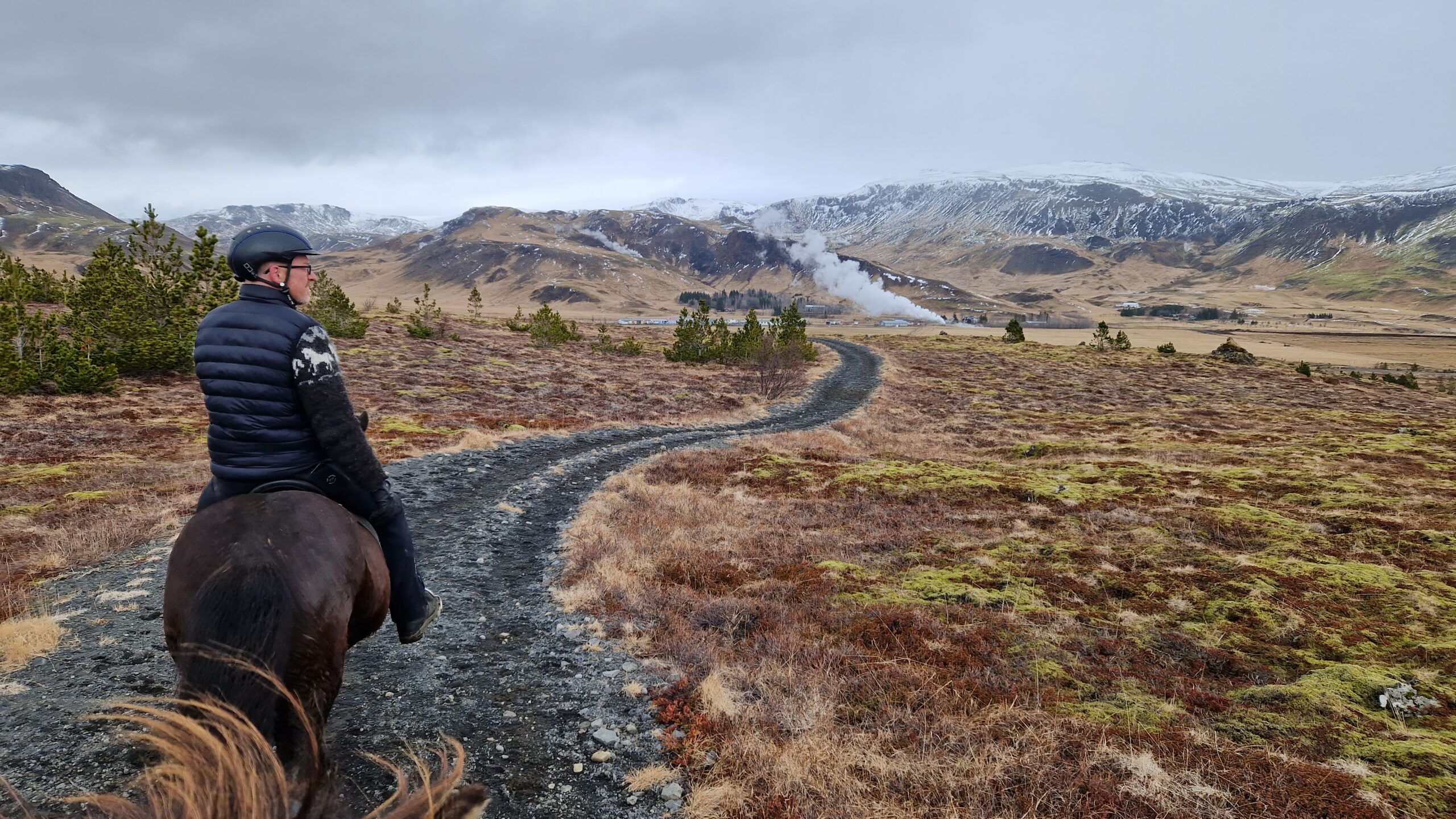 Horse Riding Tour in Reykjadalur (Hotspring Valley)