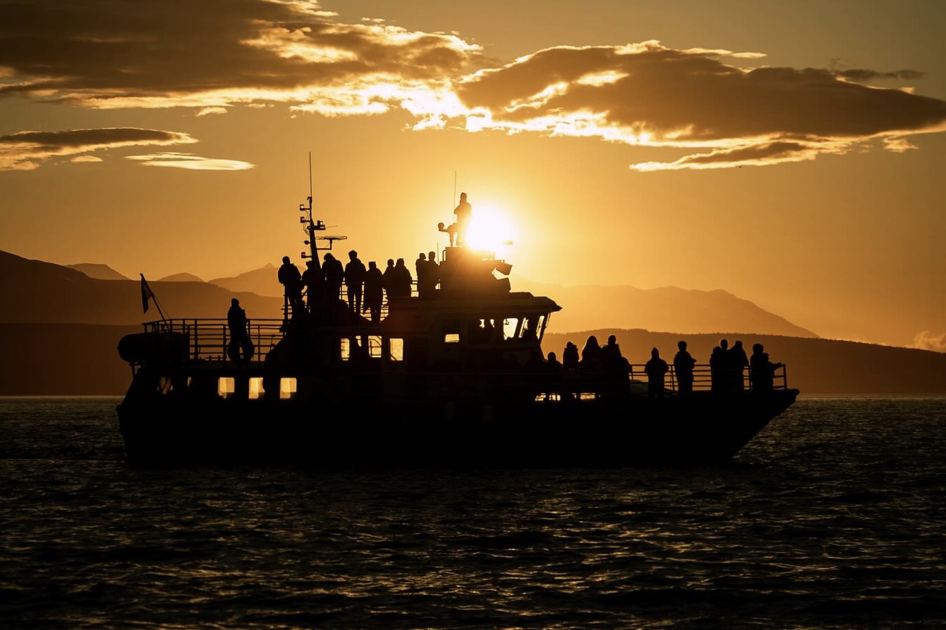 Akureyri Classic Whales in the Midnight Sun