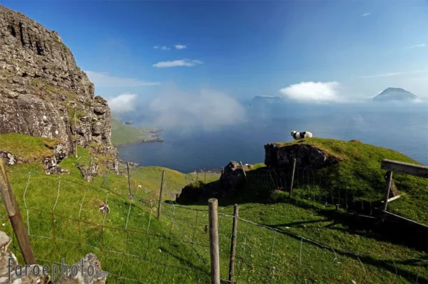 Classic 6 Day Summer Package | Faroe Islands Full Experience - Image 15
