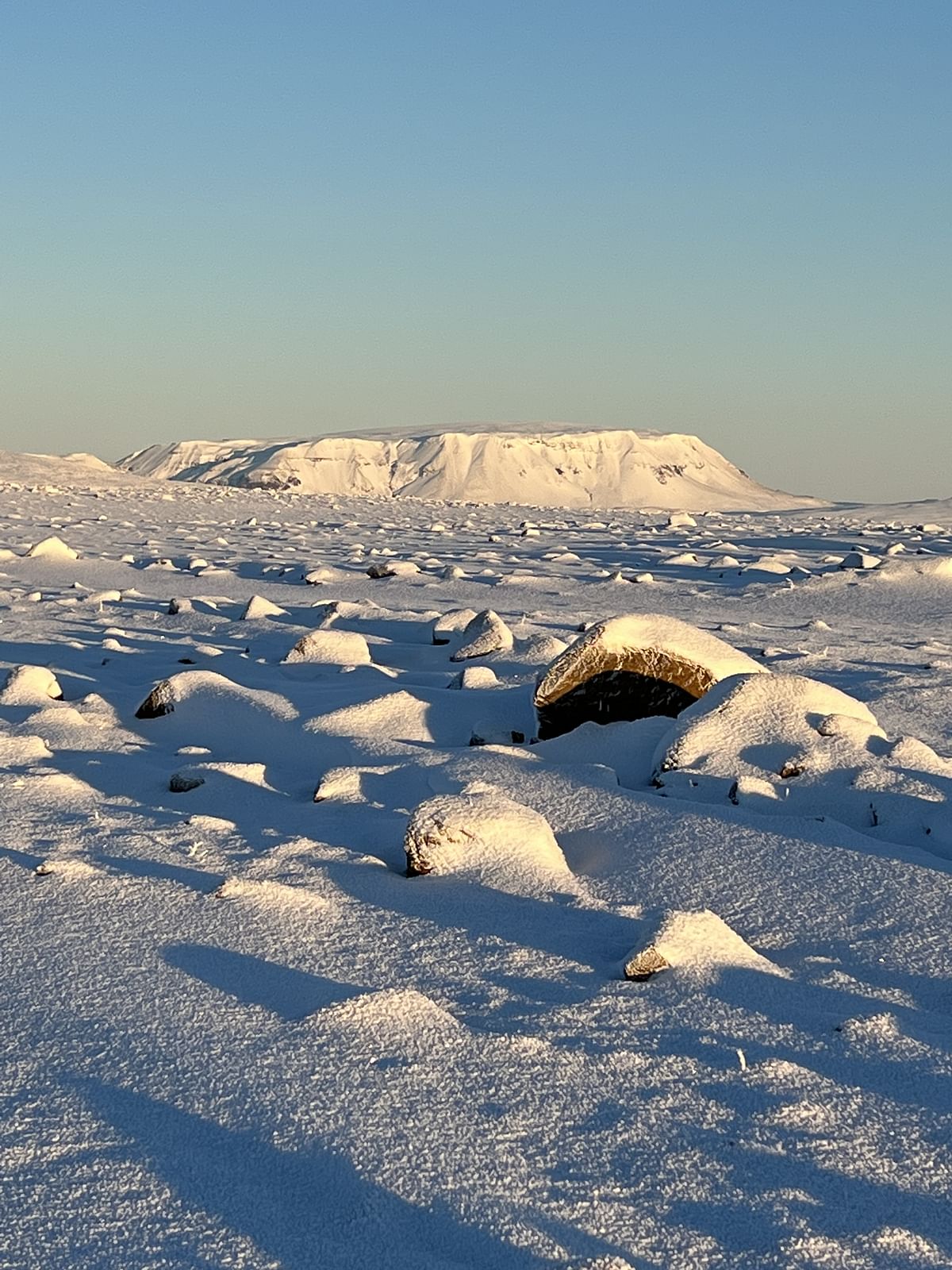 Snow-covered landscape with distant mountain under clear blue sky.