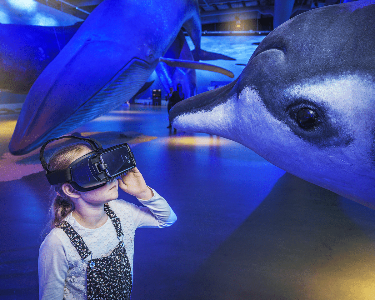 Child exploring ocean life with VR headset in a museum exhibit featuring large sea animals.